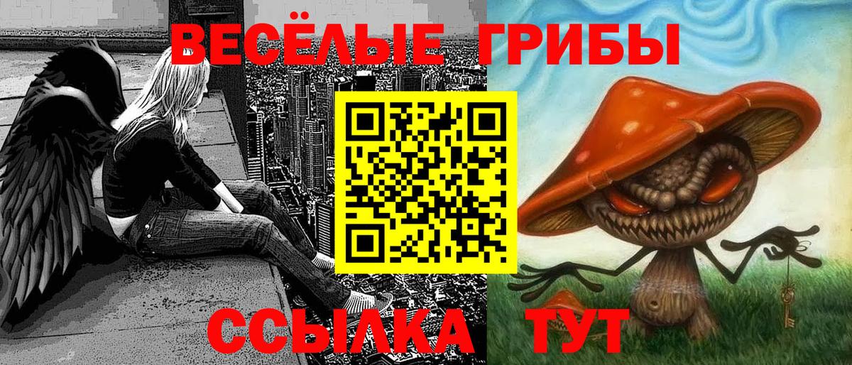 Псилоцибиновые грибы GOLDEN TEACHER Усть-Кут