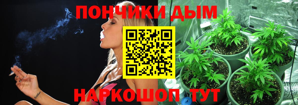 Бошки Шишки гибрид  Вход с VPN  Усть-Кут  Конопля сатива 